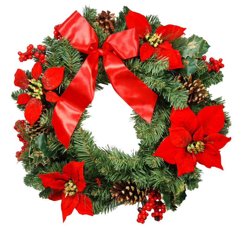 flowers  / over flowers